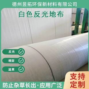 Manufacturer Customized Greenhouse White Anti-Weed Cloth Gardening Floor Cloth Reflective Color-Enhancing Anti-Aging Weeding Cloth