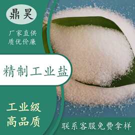 山东现货高含量精制工业盐 工业级颗粒氯化钠 国标工业用盐厂家