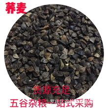 ���l�����w�� �����w��ᄾ�ԭ���w�� ����������������ώ����w��