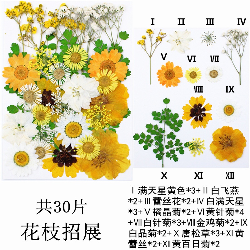Paquete de material de estampado de flores secas Paquete de combinación de flores presionadas Flor real Hoja de espécimen pegatinas