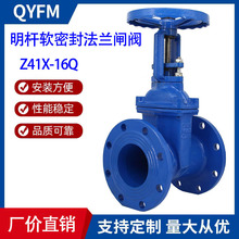 Z41X-16Q软密封法兰闸阀 大口径球墨铸铁法兰闸阀 弹性座明杆闸阀