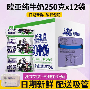 ��ϚW����ţ��250g*12�������b�������ˌW����ͯ��������ư��]
