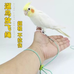 インコは縄を飛ばして弾力的に足を傷つけません。