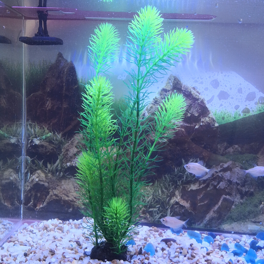 Fábrica de simulación de plantas acuáticas acuario paisajismo planta verde largo plantas acuáticas Comercio exterior paisajismo paquete combinado múltiple