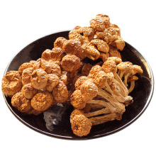 滑子菇干货食用菌味道鲜美自然本色500g包邮脆嫩当季新货