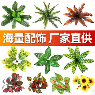 ����ֲ���Gֲ�����������˹�ݱڒ��҃��̨�b���Gֲ��