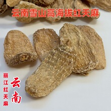 天麻批发云南丽江红天麻雪山高海拔无硫血天麻切片打粉甜天麻干货