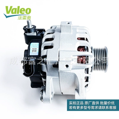 Generatorlar hissələri (Dinamo və detalları) Generator Assembly SVES082843