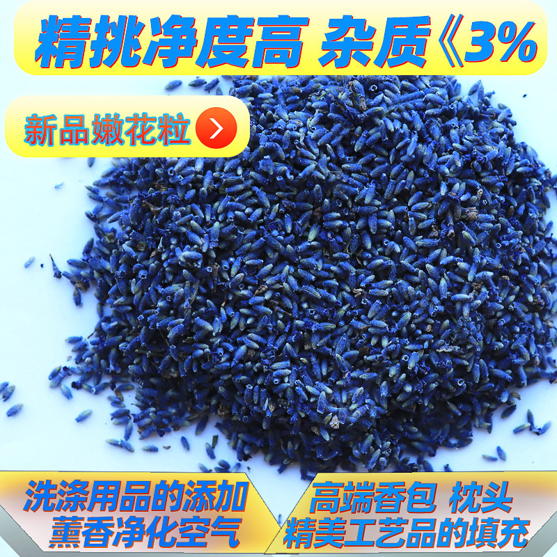 Xinjiang Yili Straight Hair Lavender Dried Flower Wholesale Lavender Dried Flower Bulk Cleaner High New Goods Lavender