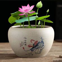 粗陶睡莲铜钱草碗莲水培陶瓷绿萝一叶莲室内特价无孔水养花缸