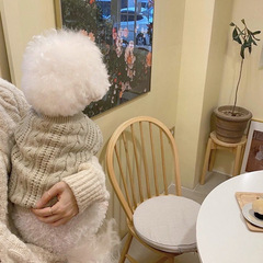 秋冬新作犬セーターテディ比熊博美ヨークシャー小型犬ペット猫服冬保温