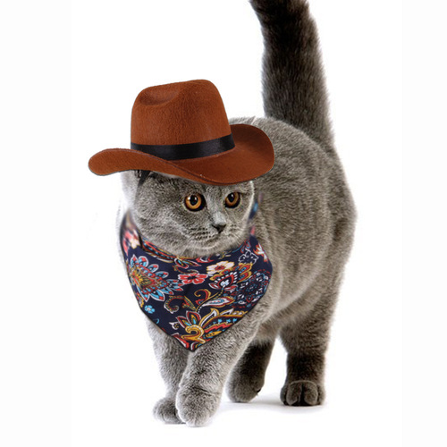 Cross-border new products Pet hats cosplay Amazon pet accessories Cats and dogs Western cowboy hats