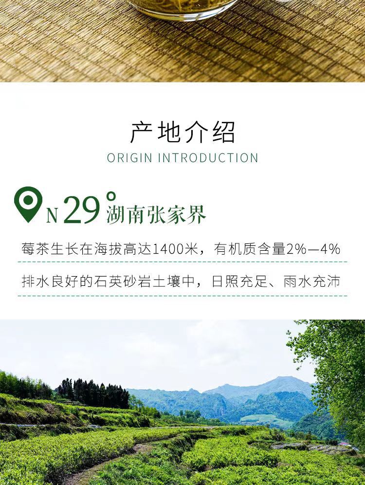 Wild Mei Tea Premium Bud Tip Zhangjiajie Hunan 125g Loose Herbal Tea Cold Brew key features
