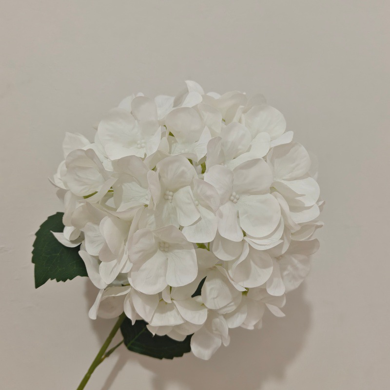 업그레이드된 3D 프린팅 화이트 모델