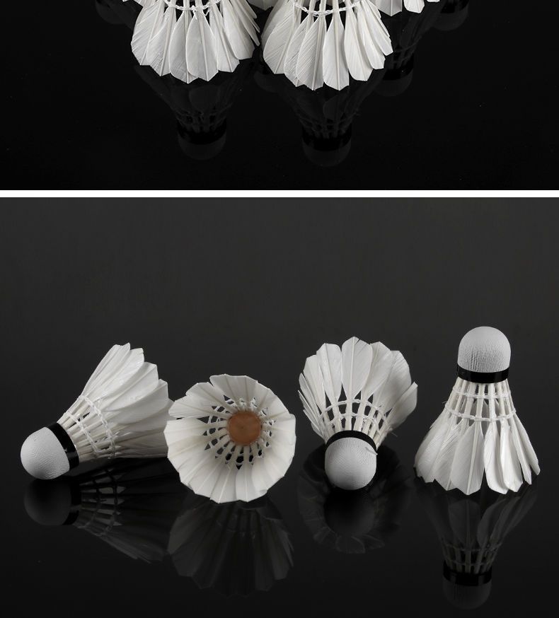 b2445edf-a060-4ec6-9f5f-cfd2083982c6.jpe