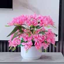 滨mٻ͏d[bҾ҃Ȼˇҕ[O