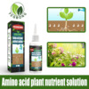 Amino acids Botany Nutrient solution Organic Foliar Trace elements Hydroponics Green leaf concentrate Fertilizer take root