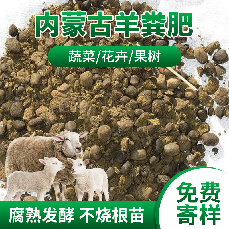 厂家批发内蒙古干羊粪基肥 果蔬绿植土壤增肥腐熟发酵纯羊粪