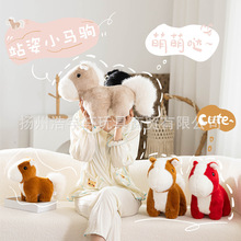 �¿�վ��С�R�x�����Rë�q��߹����R�꼪������Ф�R��ż