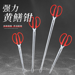 Stainless steel eel yellow catfish long fish sandwich crab claw clip crab rake deep sea fishing thickened anti-slip eel fisherman's tool magic tool