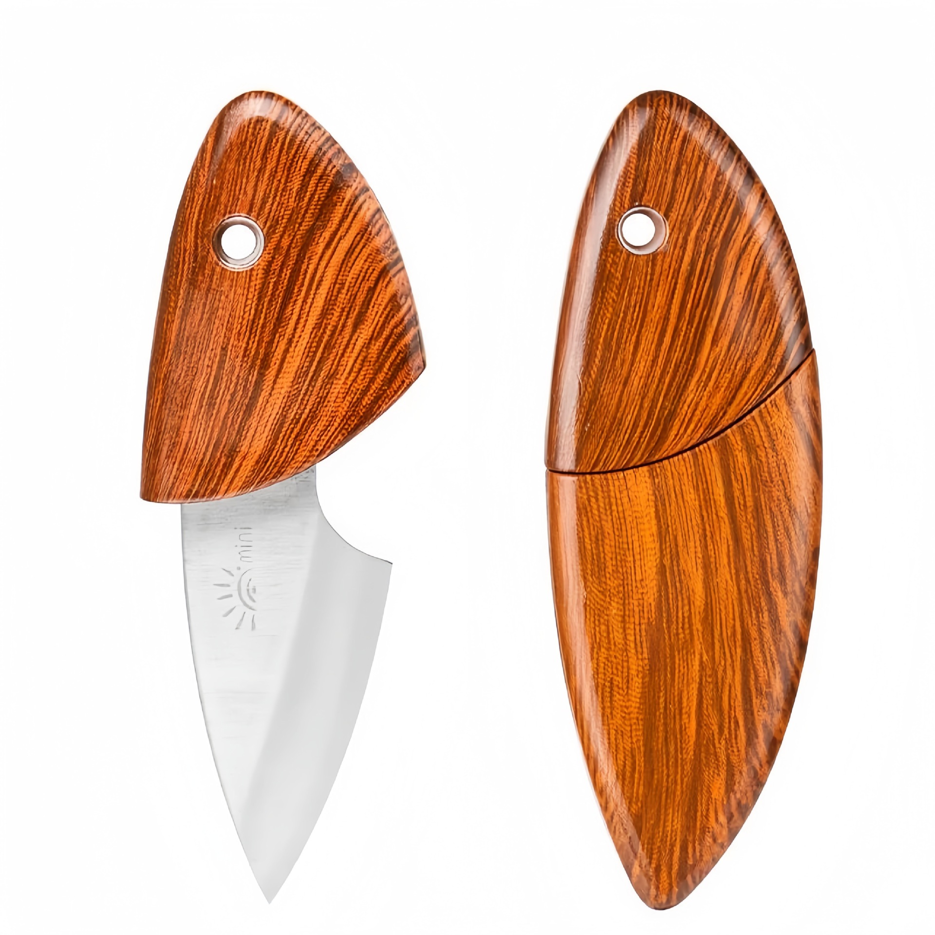 작은 뚱뚱한 돌고래 칼