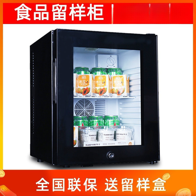 Food Sample Retention Cabinet Kindergarten School Restaurant Sample Retention Small Refrigerator Tea Beverage Small Refrigerated Display Cabinet with Lock