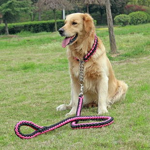 Medium Large Dog Dog Chain Dog Leash Dog Walking Leash Golden Retriever Labrador P Chain Dog Leash Pet Supplies