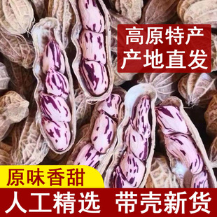 2023������߲�Ұ�ػ�����Ɏ��������ɫ�����߲ʻ����׷N��