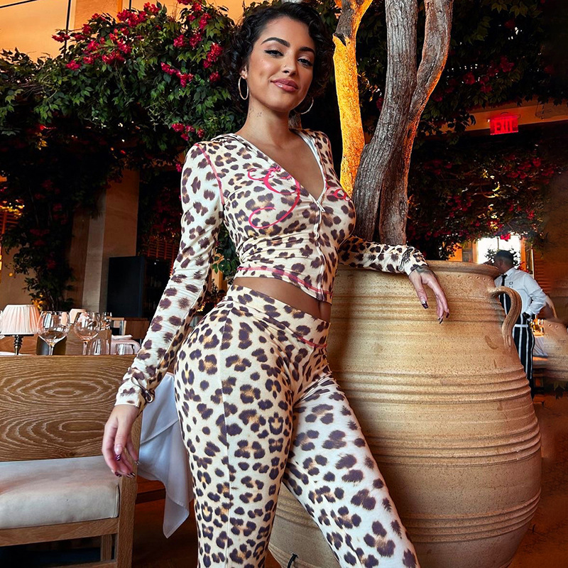 Cross-Border European And American Style 2024 Summer New Printed Hooded Cardigan Top Leopard Print High Waist Tight Long_ecoleips.com
