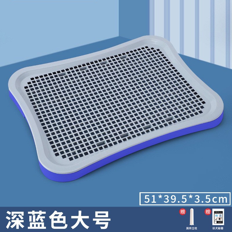 블루 컬럼 모델 [대형]