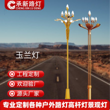 厂家批发户外广场市政工程景观灯 道路照明庭院led中华灯玉兰灯