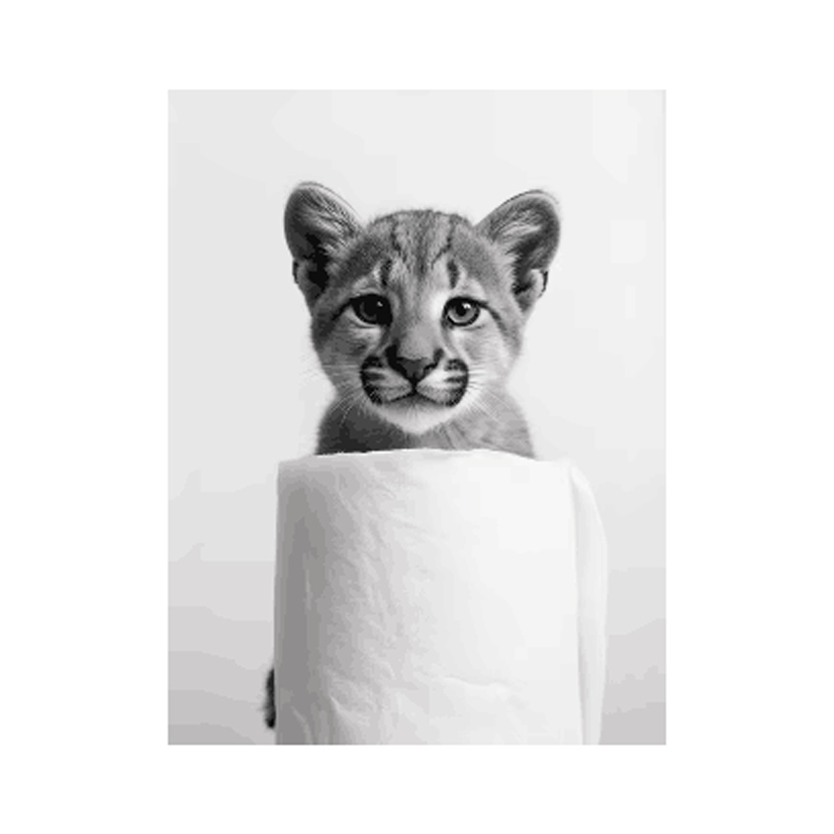 Negro y blanco adorables animales con papel higiénico póster búho perro lienzo pintura de pared arte baño sala de estar decoración del hogar