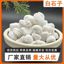 Slʯ쾰ʯ@־^쾰ʯͥԺ·bСʯ