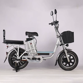 电动自行车;电动车配件