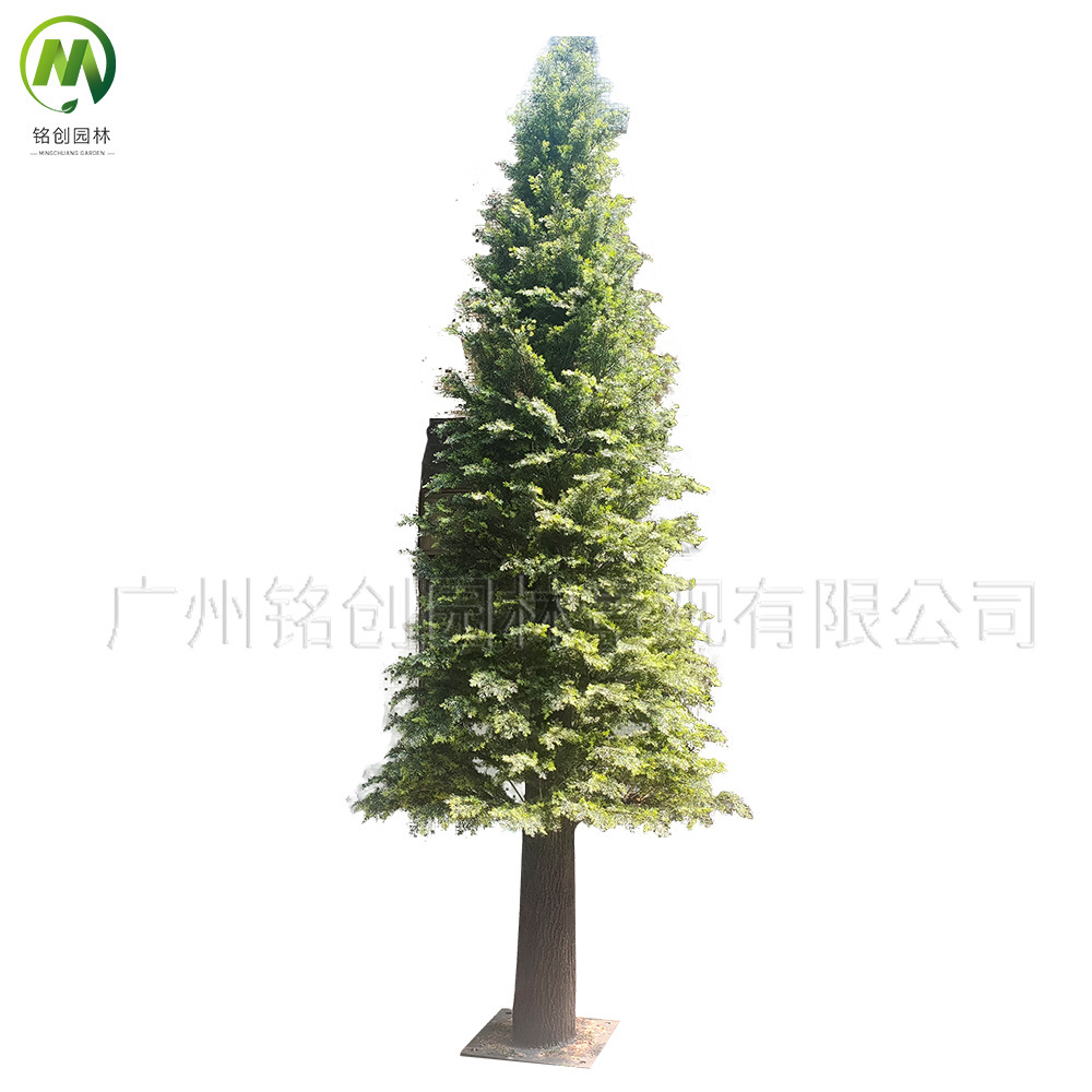 Centro comercial Decoración del parque Árbol grande de Metasequoia Simulación Árbol falso Al aire libre Simulación de FRP Simulación de pino y ciprés Cedro
