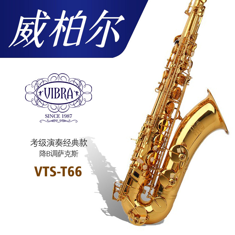 Weber Alt Saxophone B Flat Professional High-Quality Performance Grade Vts-T66 Brass Lacquer Gold