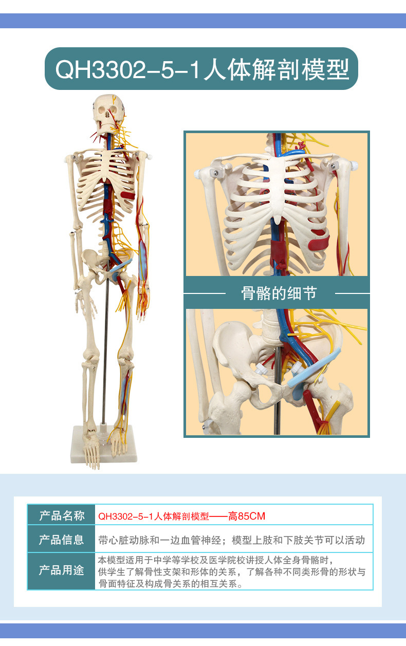 O1CN01jvAmb72Kk6XdM7PM4_!!3578