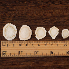 6-Year-Old Wild-Sourced American Ginseng Slices from Changbai Mountain—Soft, Root-Based, Bulk Packaging Available in Various Specifications, Wholesale Nationwide