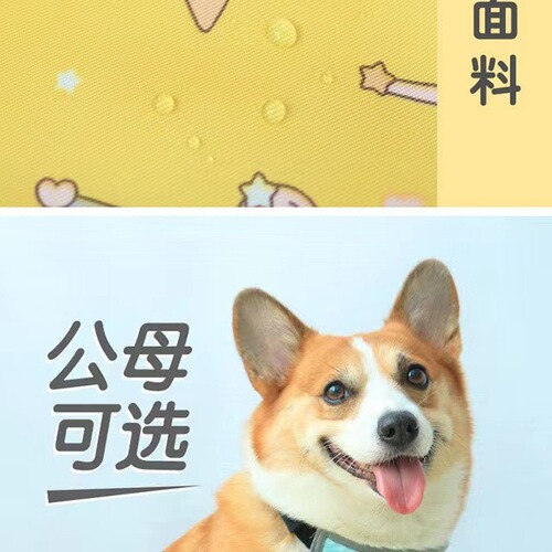 Pet Dog Waterproof Belly Warmer for Spring and Autumn, Keeping Warm in Summer, Corgi-Specific, Cross-Border Hot Selling Pet Gear