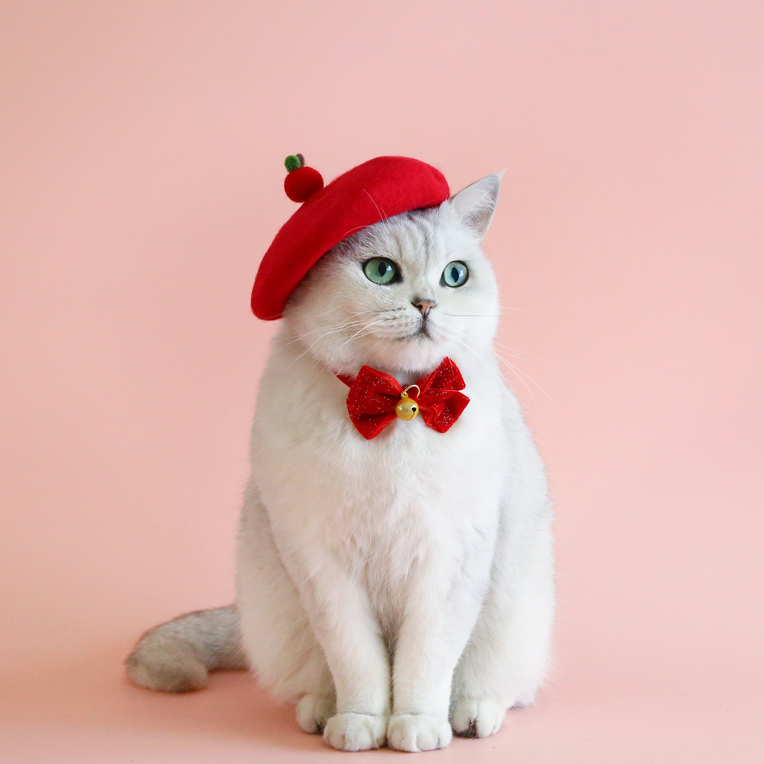 Mascota de lana de dibujos animados colorido boina sombrero gato cachorro fieltro flor abeja seta manzana Año Nuevo sombrero headwear