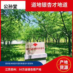 �y���Sͪ24 cp2020�� �y���~�Sͪ �y���~���� 50�f���y�ӻ���