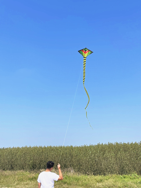 Wholesale super long tail children and adult kites in Weifang, big green snake kites, easy to fly with a gentle breeze, factory wholesale and sales