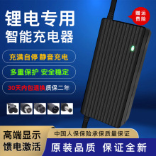 鋰電池電動車充電器48V36V60V24V72V54.6V2A電車鋰離子哈雷平衡車