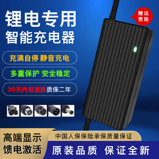 Lithium battery electric car charger for tram lithium ion Harley balance car