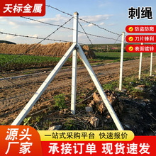 刺绳铁丝网加密热镀锌刺绳防爬刺绳隔离围墙铁蒺藜带刺钢丝刺线