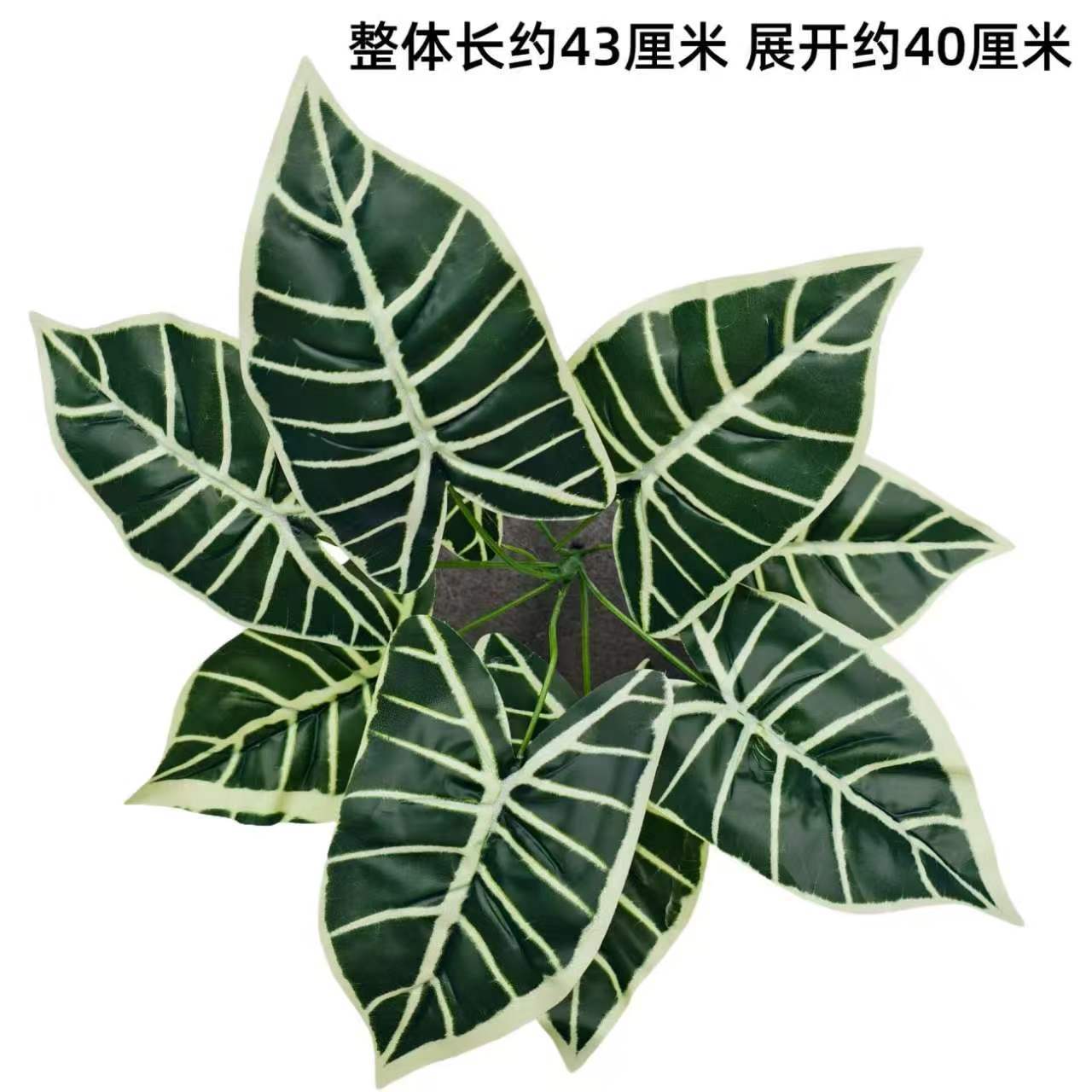 Nine-pronged large plant new model no. 16