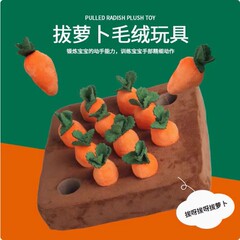 犬は大根のおもちゃを抜いて、ペットは自分をかむことができます。