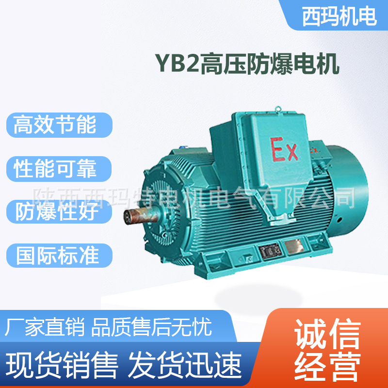 西安西玛电机YB2-5001-6极400KW 10KV高压变频防爆三相异步电动机