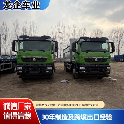 Howo 440 Horsepower Howo Shandeka Tx Rear Eight-Wheel 6X4 Engineering Dump Truck Construction Waste Rear-Dump Dump Truck (Yük maşınları)