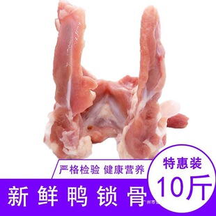 ���r������i�����������i������������ը�u��ʳ�������i������